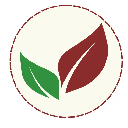 Vegan
